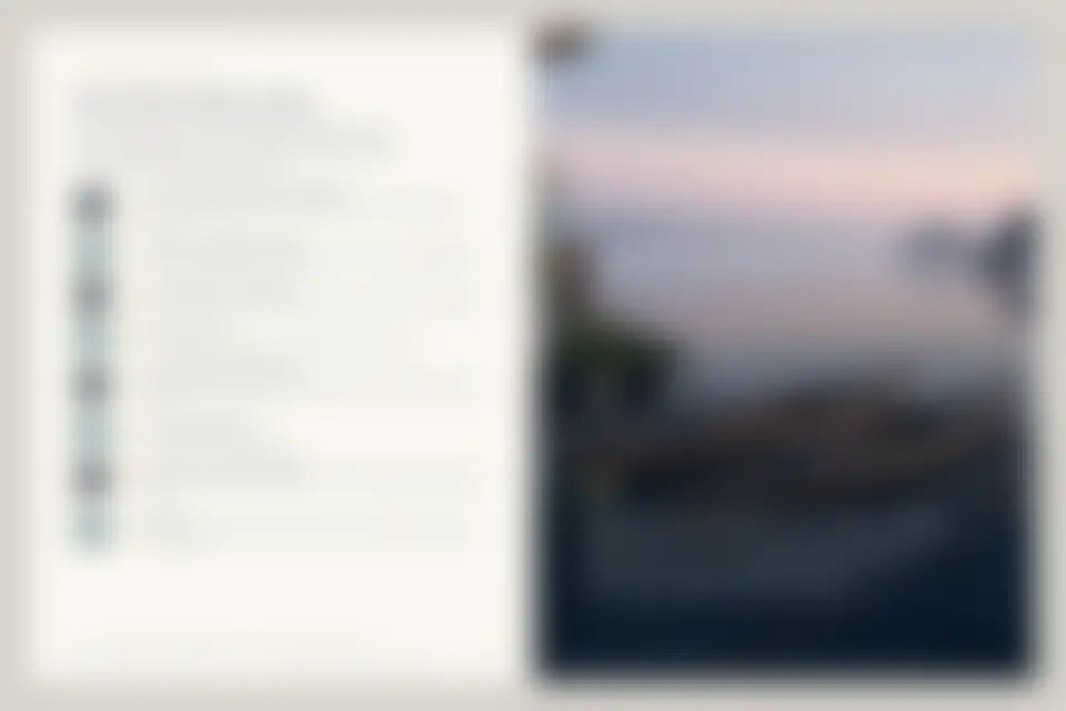 Blurred preview of the buying timeline pages